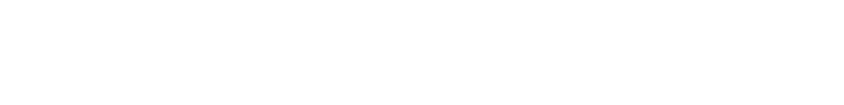 FST group logo